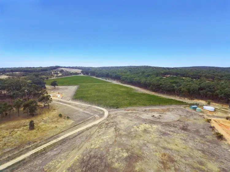 Second view of Homely rural property listing, 20 Morris Lane, Avoca VIC 3467