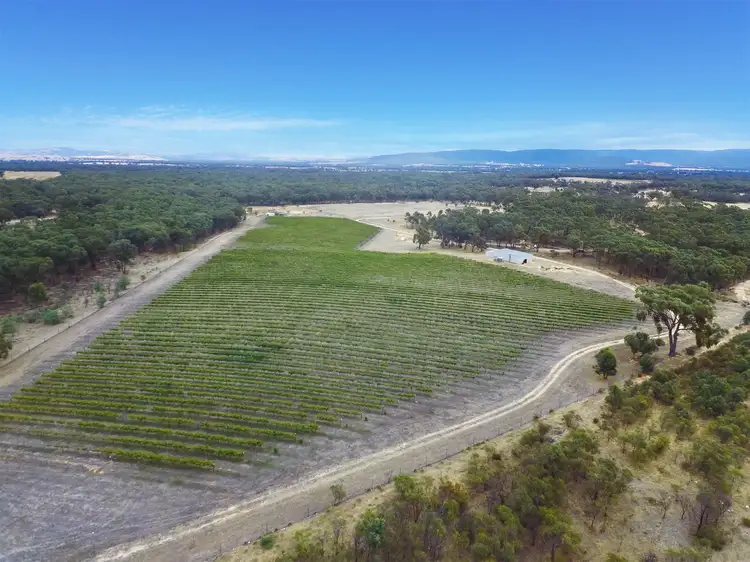 Third view of Homely rural property listing, 20 Morris Lane, Avoca VIC 3467