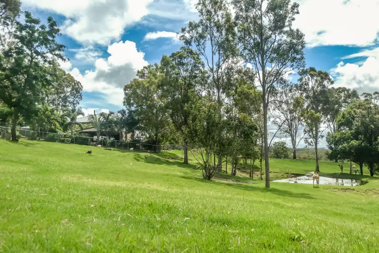 Third view of Homely house listing, 125 Bass Road, Campbells Pocket QLD 4521