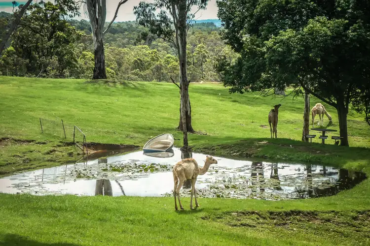 Fifth view of Homely house listing, 125 Bass Road, Campbells Pocket QLD 4521