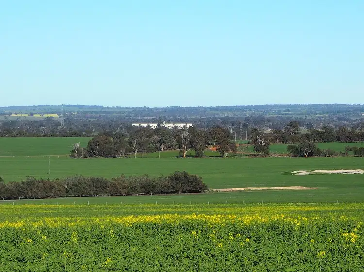Main view of Homely rural property listing, Somerset 359 Jam Creek Road, Tambellup WA 6320