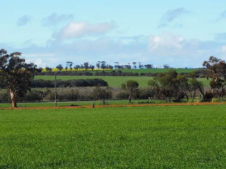 Fourth view of Homely rural property listing, Somerset 359 Jam Creek Road, Tambellup WA 6320