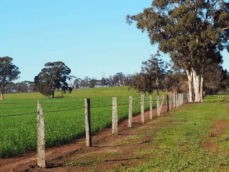 Sixth view of Homely rural property listing, Somerset 359 Jam Creek Road, Tambellup WA 6320