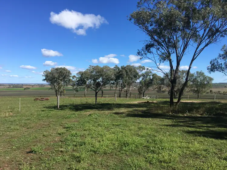 Second view of Homely rural property listing, 0 Scrubby Road, Scrubby Mountain, Pittsworth QLD 4356