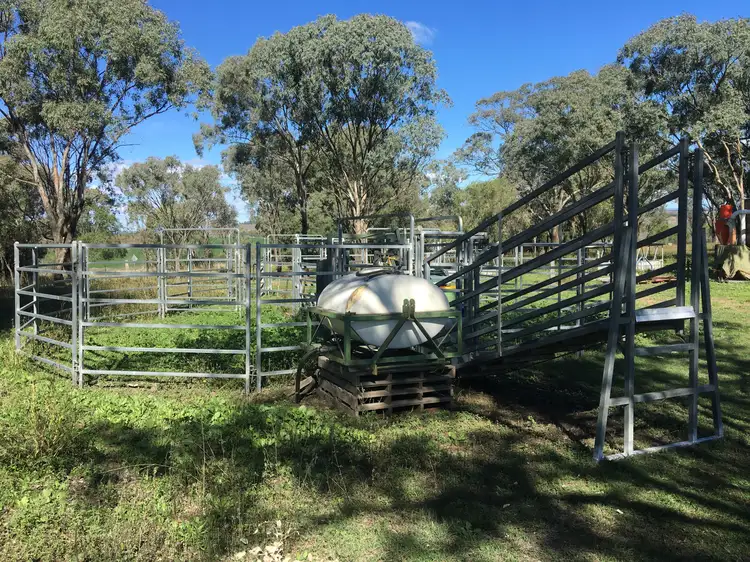 Fifth view of Homely rural property listing, 0 Scrubby Road, Scrubby Mountain, Pittsworth QLD 4356