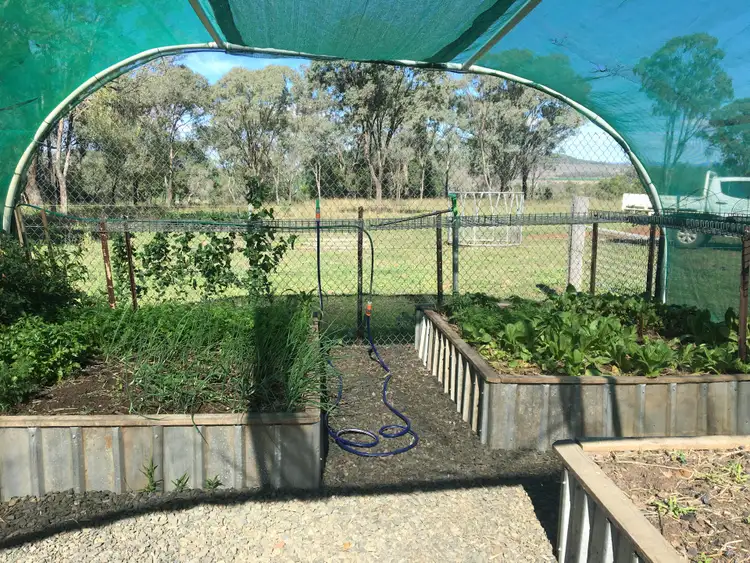 Sixth view of Homely rural property listing, 0 Scrubby Road, Scrubby Mountain, Pittsworth QLD 4356