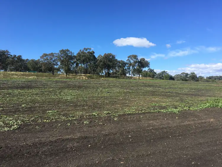 Seventh view of Homely rural property listing, 0 Scrubby Road, Scrubby Mountain, Pittsworth QLD 4356