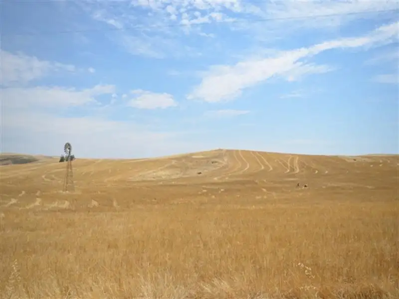 Main view of Homely rural property listing, 2 Lots RM Williams Highway, Andrews via, Spalding SA 5454