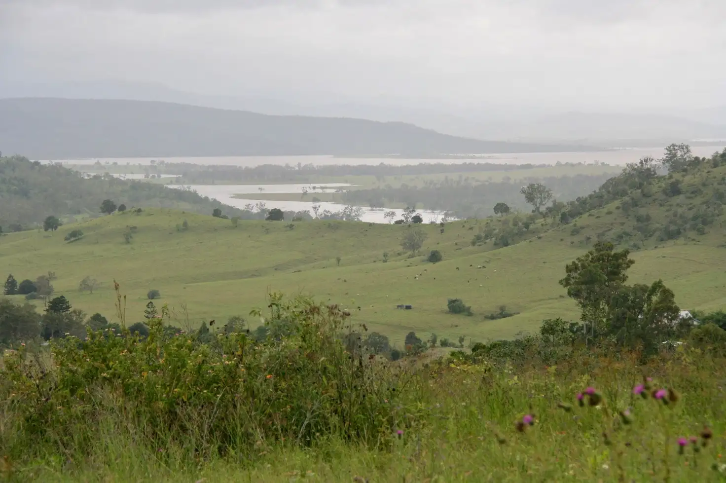 Main view of Homely rural property listing, Lot 1 Coal Creek Road, Coal Creek QLD 4312