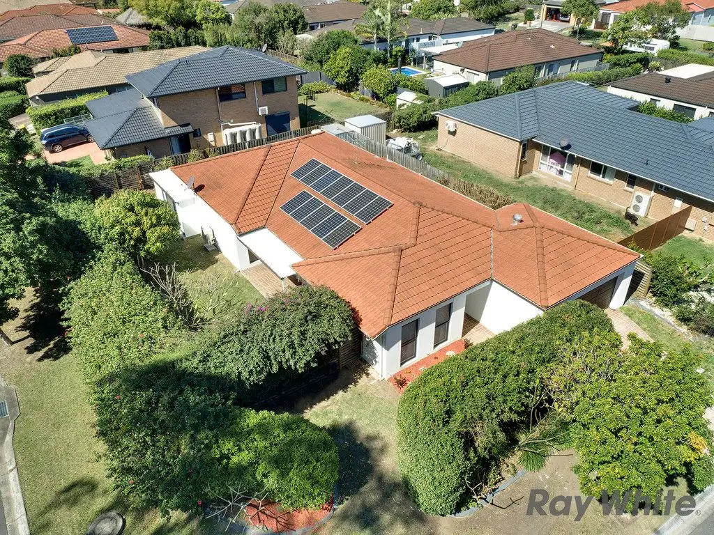 Main view of Homely house listing, 43 Macaranga Crescent, Carseldine QLD 4034