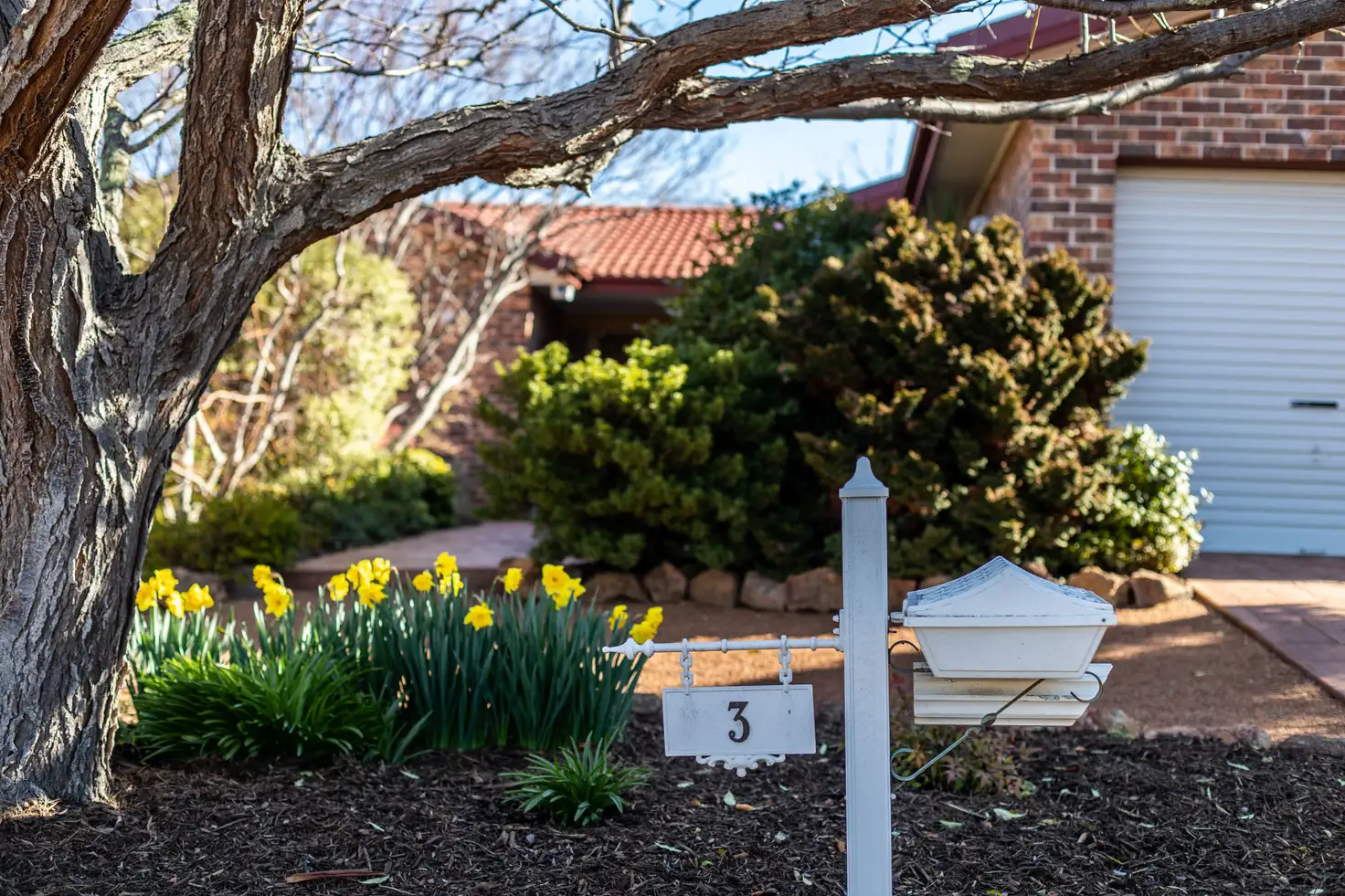 Main view of Homely house listing, 3 Tilley Place, Mckellar ACT 2617