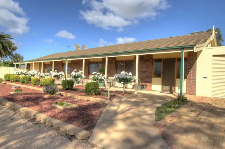 60 Derrick Street, Berri SA 5343