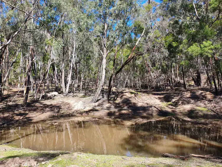 Third view of Homely rural property listing, 49 Durran Durra Place, Braidwood NSW 2622