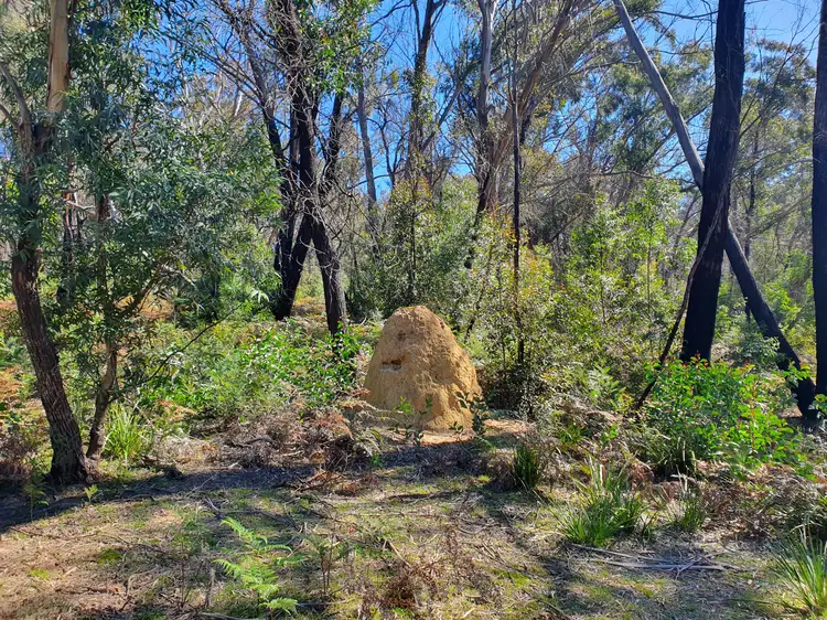 Fourth view of Homely rural property listing, 49 Durran Durra Place, Braidwood NSW 2622