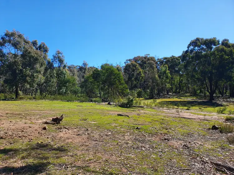 Seventh view of Homely rural property listing, 49 Durran Durra Place, Braidwood NSW 2622
