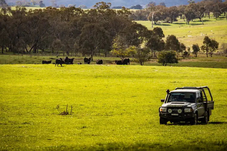Sixth view of Homely rural property listing, . 'Miavale' 640 Blakney Creek North Road, Yass NSW 2582