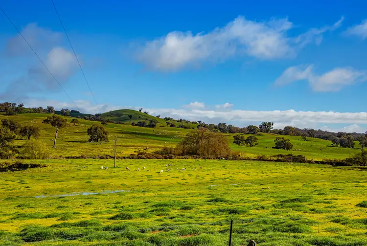 Main view of Homely rural property listing, . 'Windmill' 364 Blakney Creek North Road, Yass NSW 2582