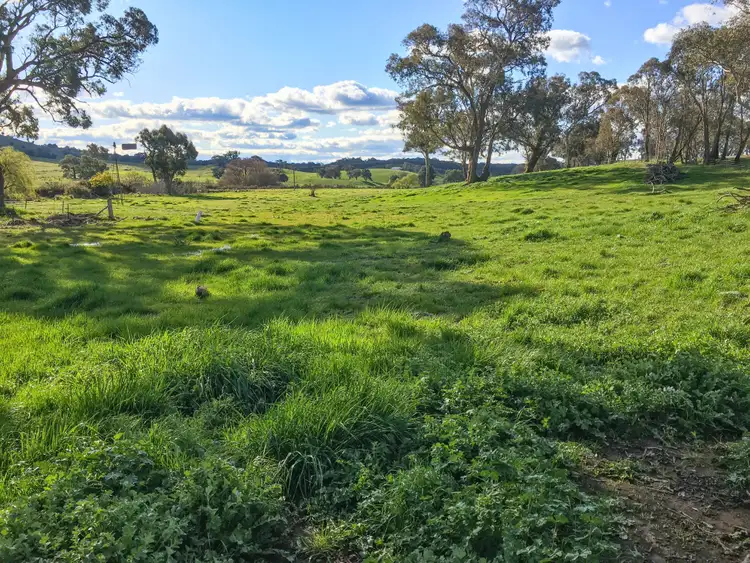Second view of Homely rural property listing, . 'Windmill' 364 Blakney Creek North Road, Yass NSW 2582