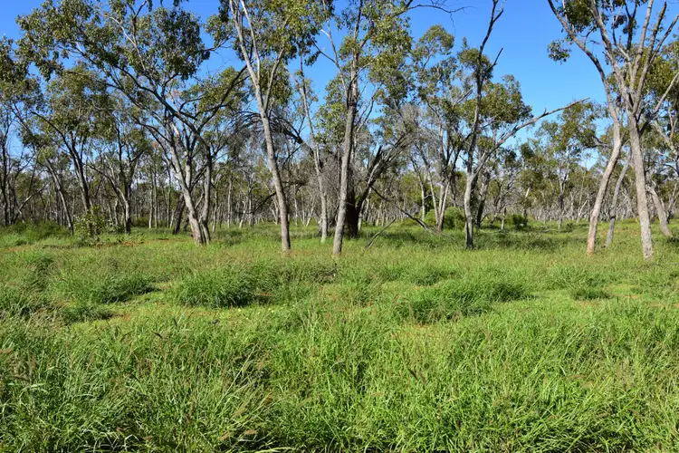 Third view of Homely rural property listing, Address available on request