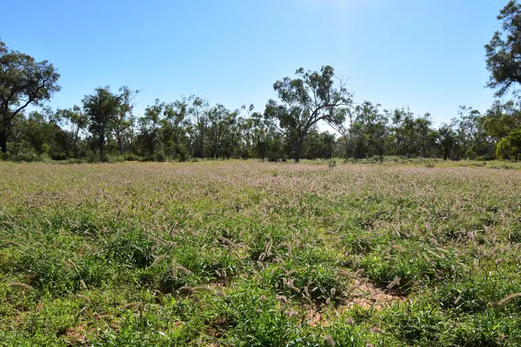 Fourth view of Homely rural property listing, Address available on request