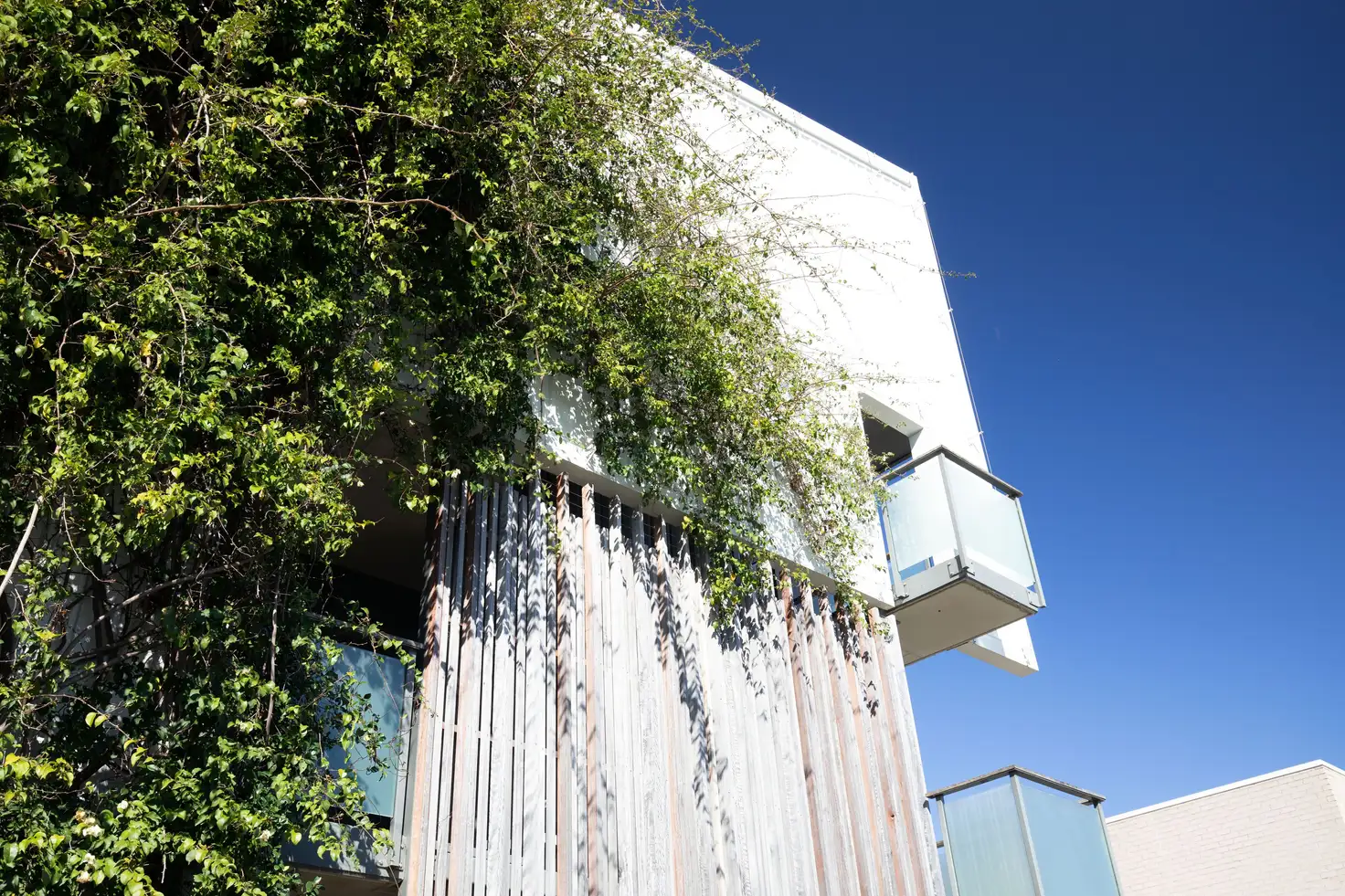 Main view of Homely apartment listing, 3/1 Amity Avenue, Maroochydore QLD 4558