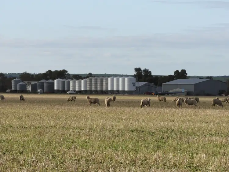 Main view of Homely rural property listing, Cusmano's & Pearce's Farms, Hyden WA 6359