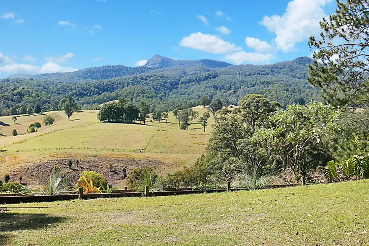 Third view of Homely rural property listing, 1640 Byrrill Creek Road, Brays Creek NSW 2484