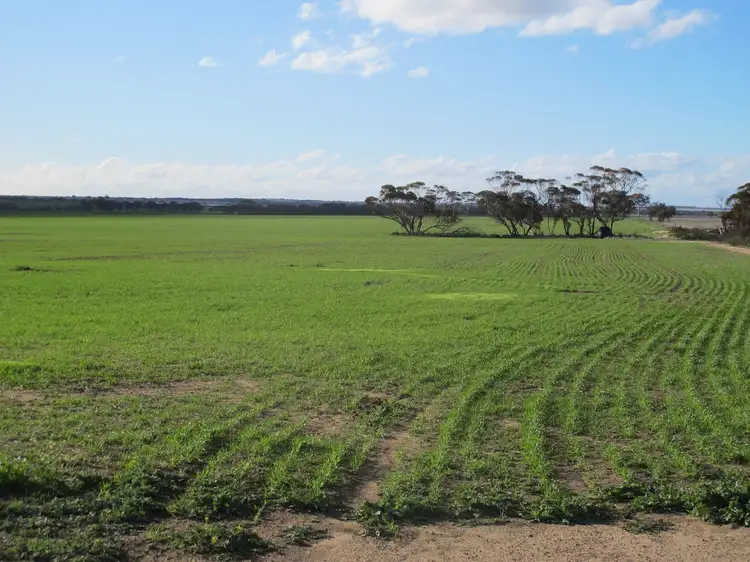 Main view of Homely rural property listing, Hyland Park, Dixon Road, Narembeen WA 6369