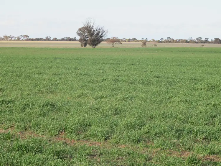 Second view of Homely rural property listing, Hyland Park, Dixon Road, Narembeen WA 6369