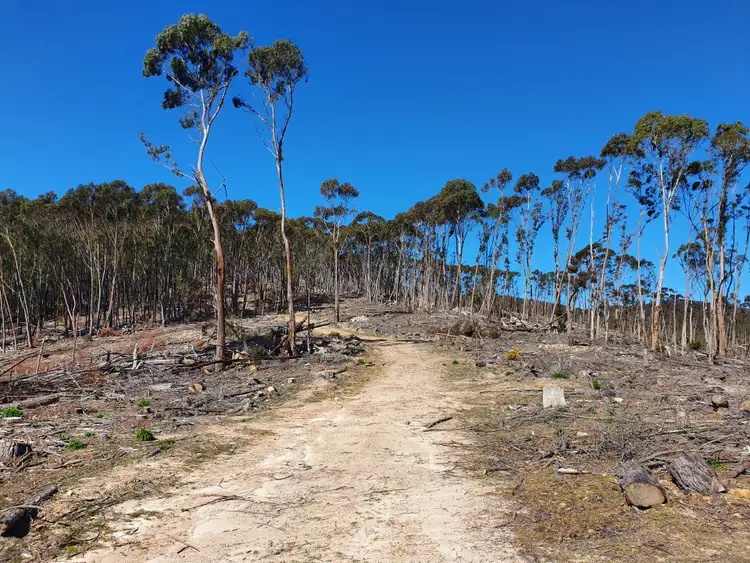 Third view of Homely rural property listing, 452a Ribbon Gum Road, Krawarree, Braidwood NSW 2622
