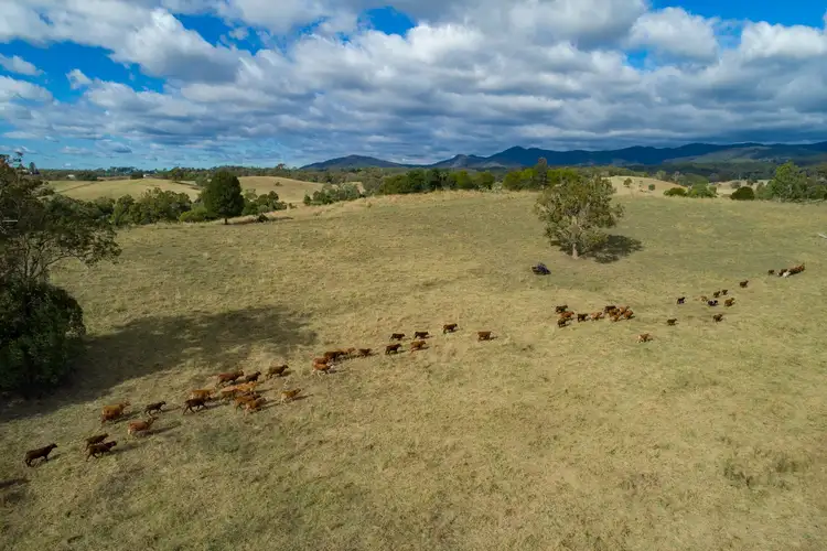 Fourth view of Homely house listing, 45 Old Cream Truck Road, Dayboro QLD 4521