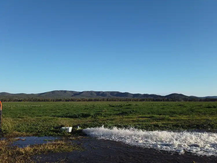 Seventh view of Homely rural property listing, 7459 Bruxner Way, Tenterfield NSW 2372
