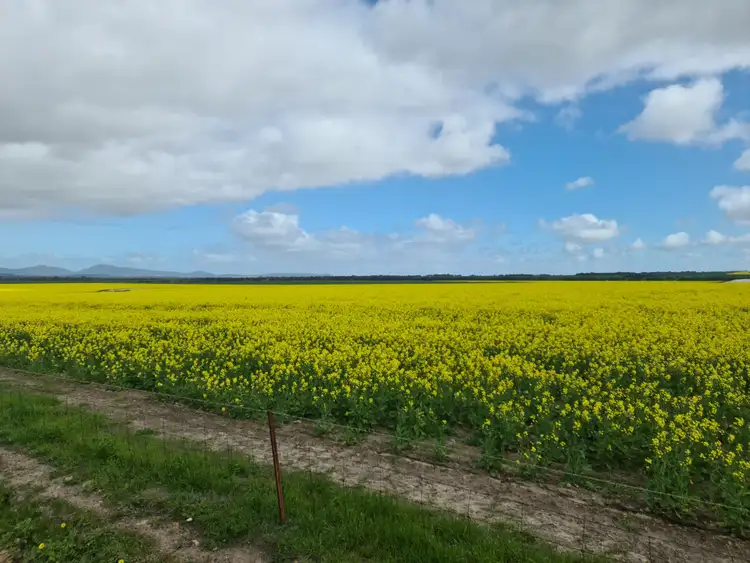 Fourth view of Homely rural property listing, 2430 Beejenup Road, Tambellup WA 6320