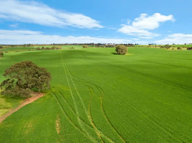 Main view of Homely rural property listing, 'Kingsford Block' - Lot 508 Sturt Highway, Kingsford SA 5118