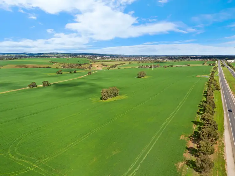 Second view of Homely rural property listing, 'Kingsford Block' - Lot 508 Sturt Highway, Kingsford SA 5118