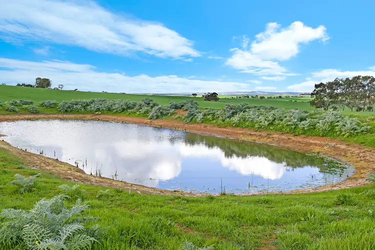 Third view of Homely rural property listing, 'Kingsford Block' - Lot 508 Sturt Highway, Kingsford SA 5118