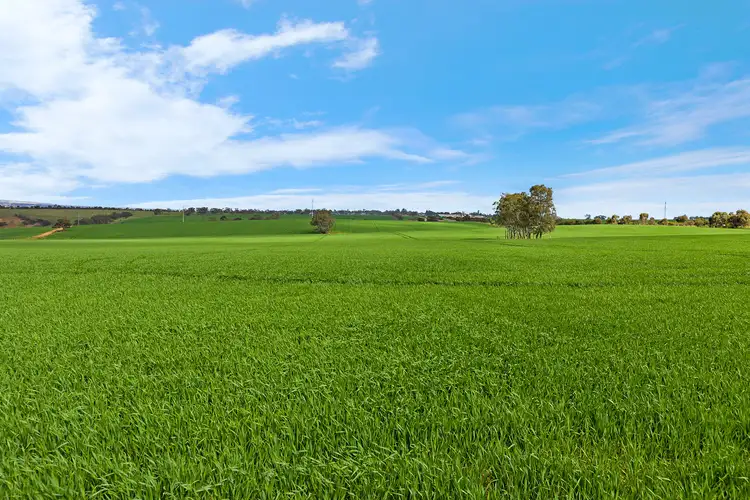 Fifth view of Homely rural property listing, 'Kingsford Block' - Lot 508 Sturt Highway, Kingsford SA 5118
