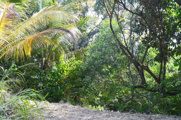 Second view of Homely land listing, 63 Cutten Street, Bingil Bay QLD 4852