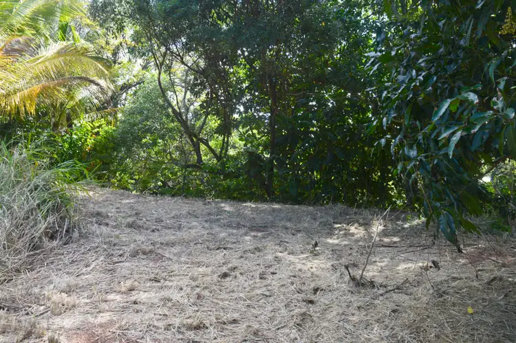 Third view of Homely land listing, 63 Cutten Street, Bingil Bay QLD 4852