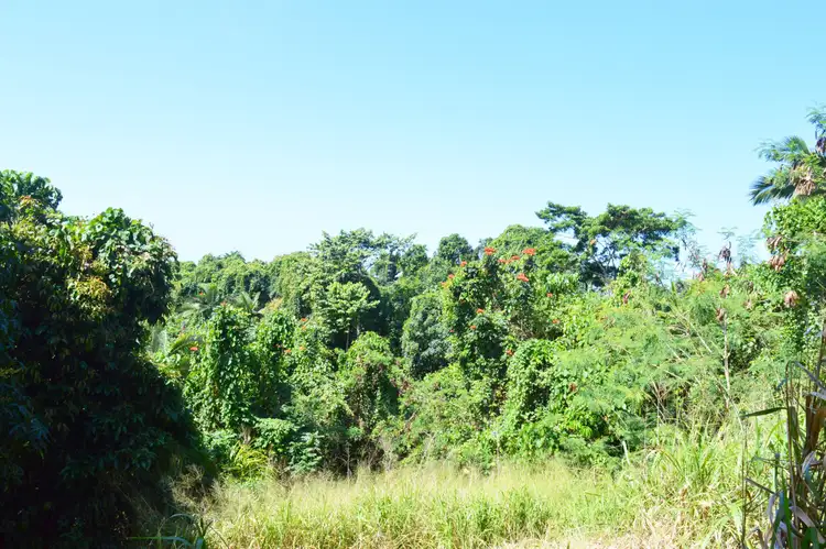 Seventh view of Homely land listing, 63 Cutten Street, Bingil Bay QLD 4852