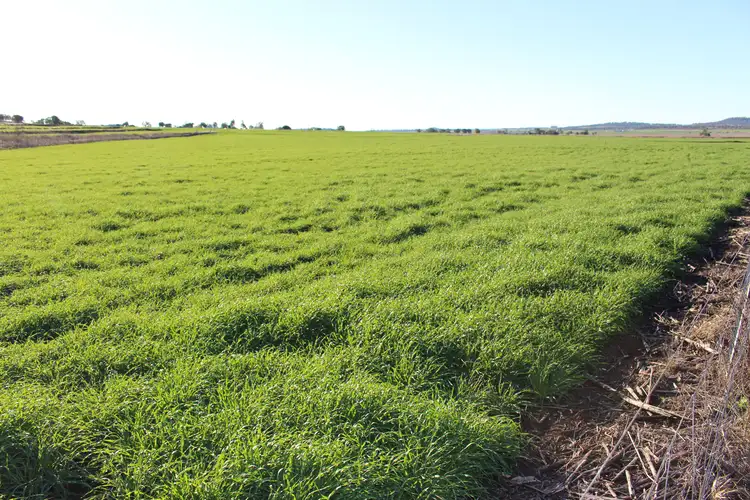 Main view of Homely rural property listing, 1182 Stoneleigh Road, Linthorpe QLD 4356