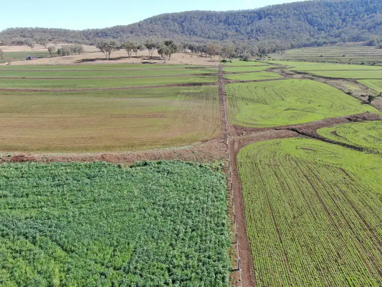 Seventh view of Homely rural property listing, 101 Doyles Road, Clintonvale QLD 4370