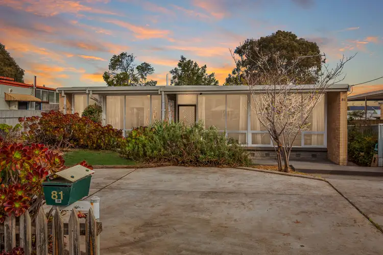 81 Mooringe Avenue, Camden Park SA 5038