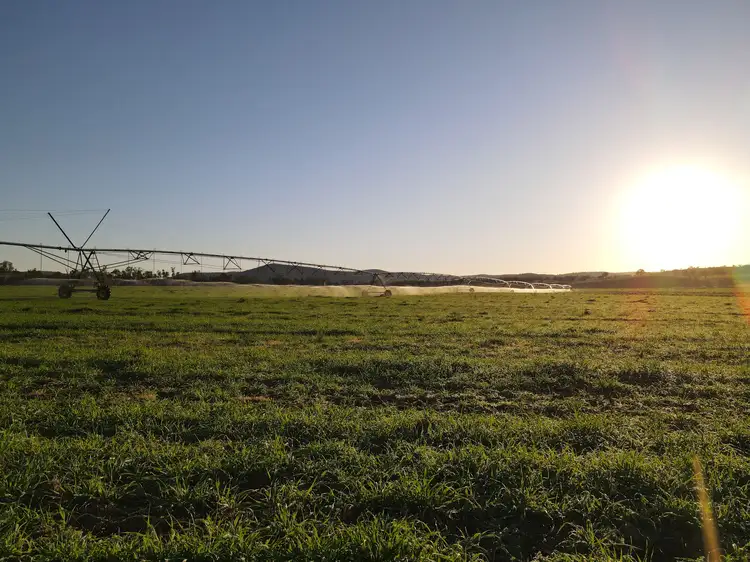 Third view of Homely rural property listing, 7459 Bruxner Way, Tenterfield NSW 2372