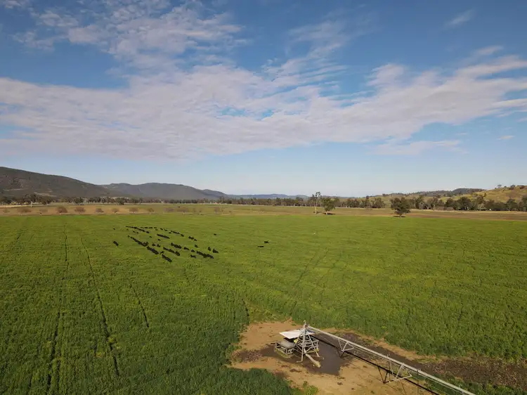 Fifth view of Homely rural property listing, 7459 Bruxner Way, Tenterfield NSW 2372