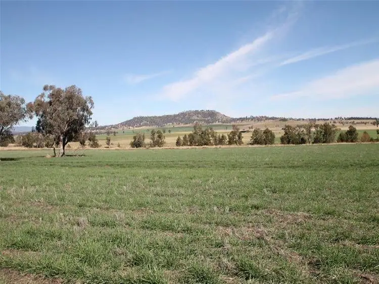 Third view of Homely rural property listing, 276 Spains Lane, Quirindi NSW 2343
