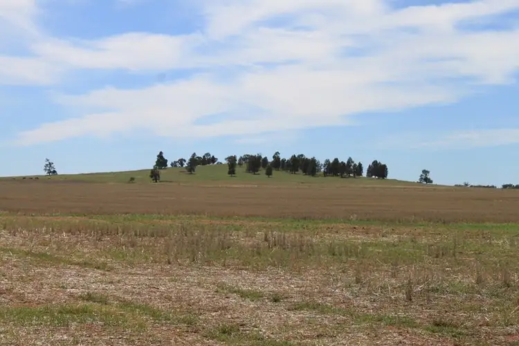 Seventh view of Homely rural property listing, 0 "Farmlea" Limestone Road, Forbes NSW 2871