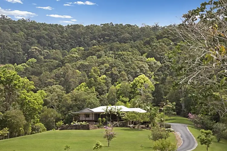 615 Nobbys Creek Road, Nobbys Creek NSW 2484