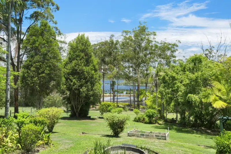 Main view of Homely house listing, 319 Connection Road, Mooloolah Valley QLD 4553