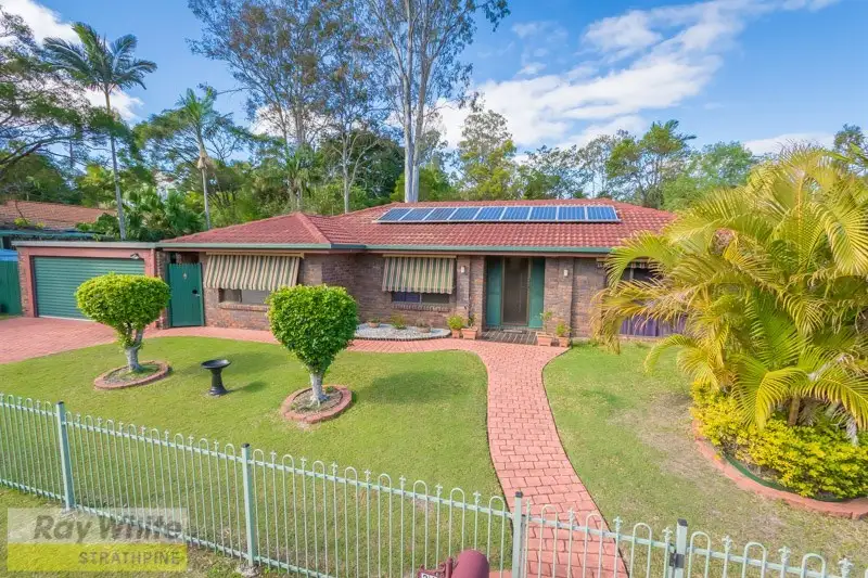 Main view of Homely house listing, 24 Macquarie Drive, Petrie QLD 4502